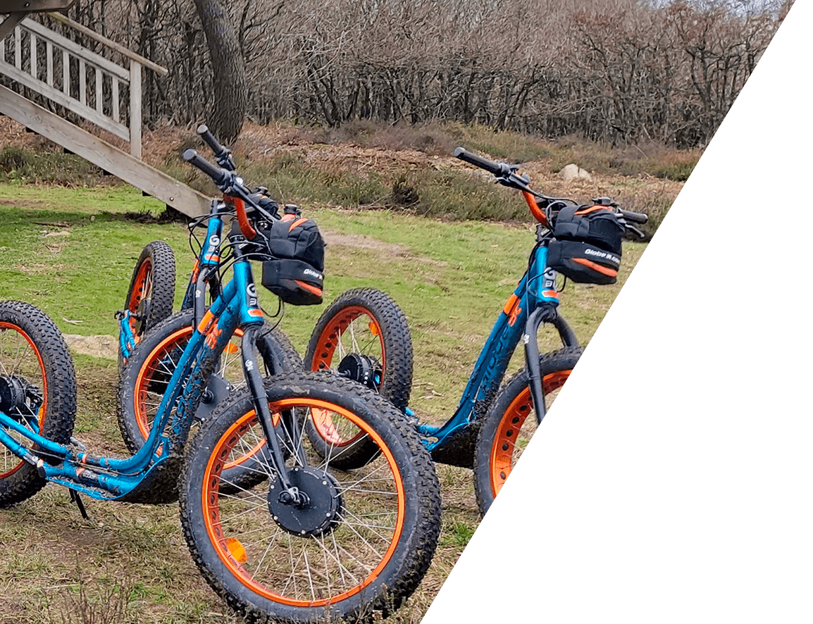 Les trottinettes électriques tout-terrain : explorez la nature avec fa –  Scootnext